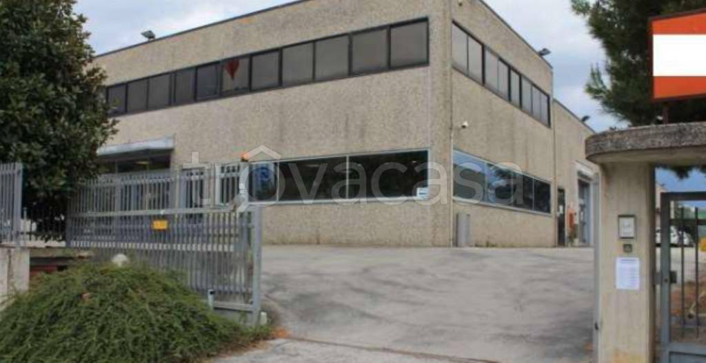 capannone in vendita a Montegranaro in zona Villa Luciani