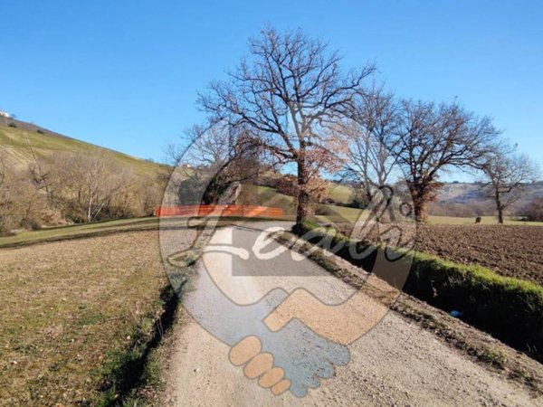 negozio in vendita a Montegranaro