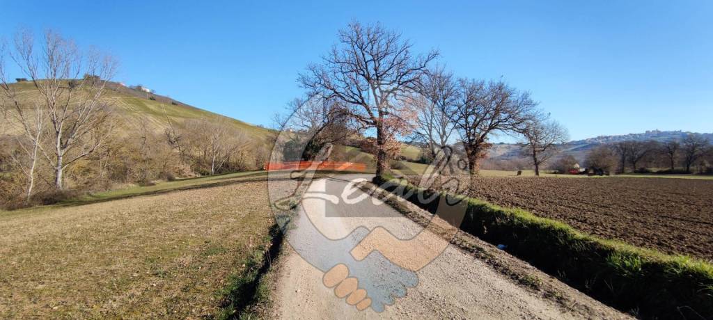 negozio in vendita a Montegranaro in zona Santa Leandra