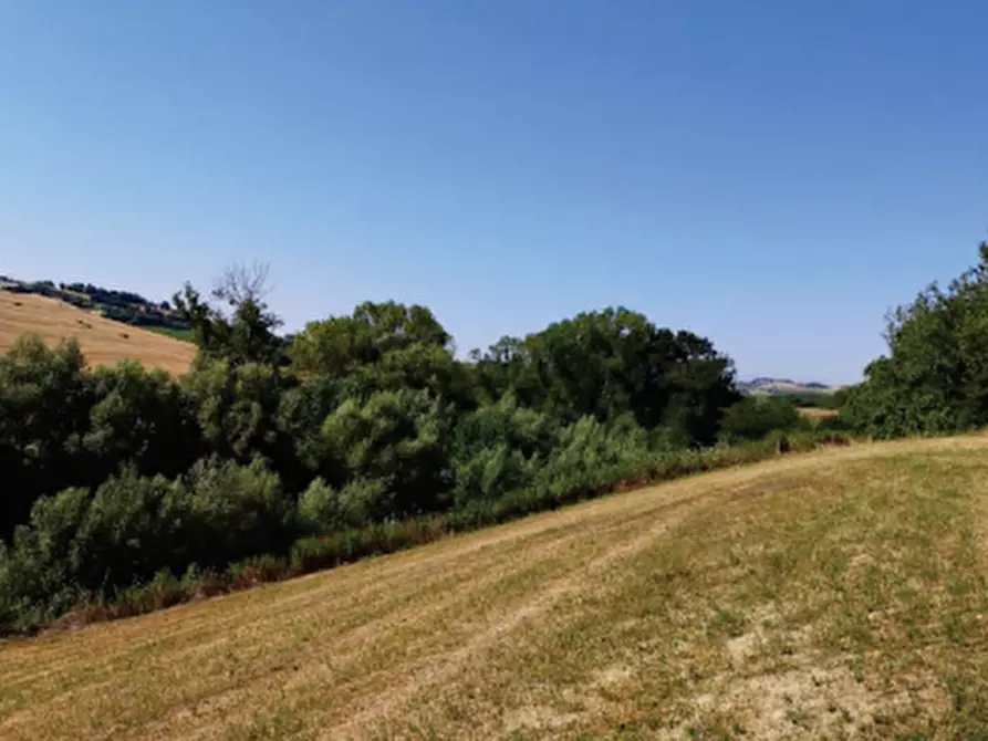 terreno agricolo in vendita a Montegranaro in zona Guazzetti