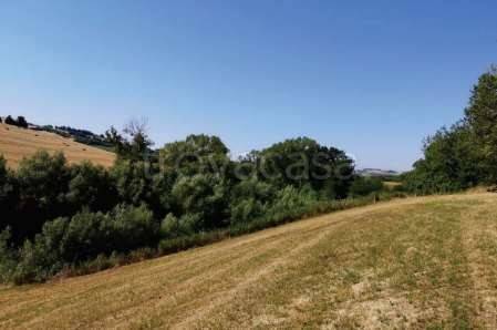 appartamento in vendita a Montegranaro in zona Guazzetti