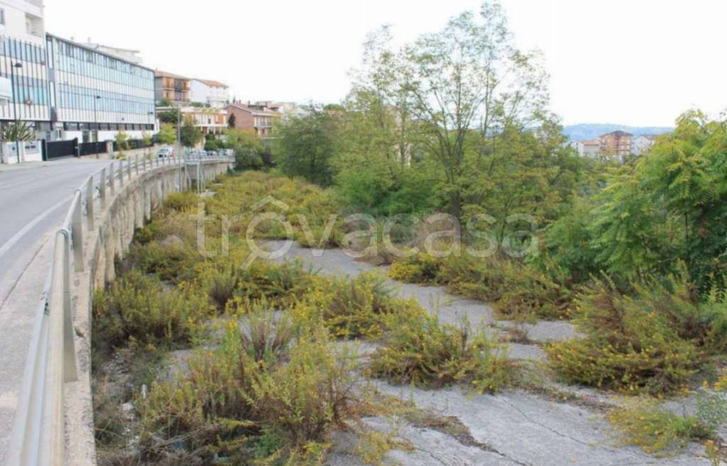 terreno agricolo in vendita a Montegranaro