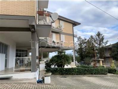appartamento in vendita a Montegranaro