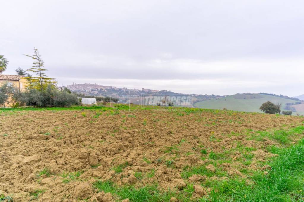 terreno edificabile in vendita a Montegranaro