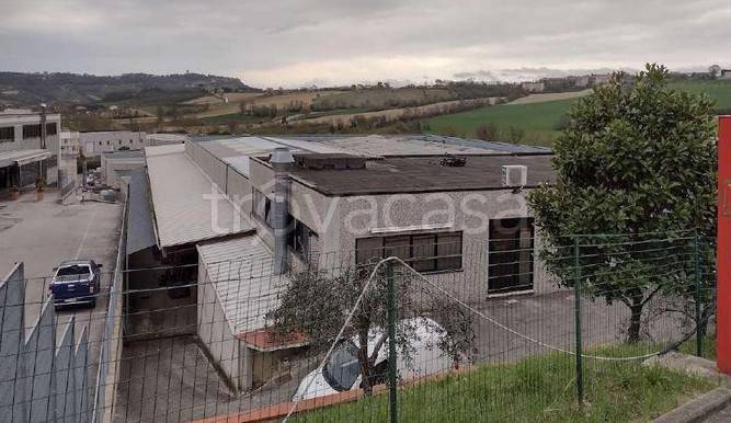 capannone in vendita a Montegranaro in zona Villa Luciani