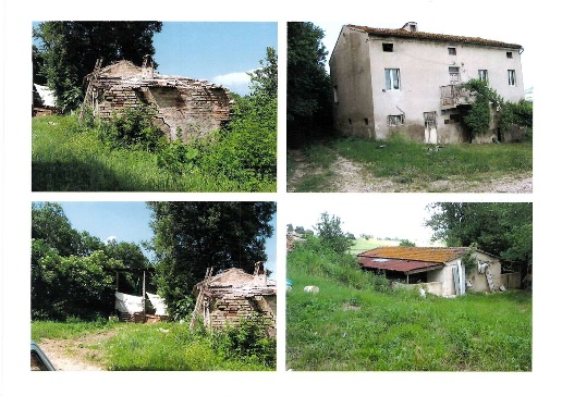 esavano in vendita a Montegranaro