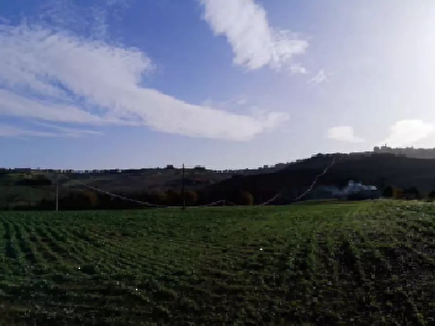 terreno agricolo in vendita a Montegranaro in zona Guazzetti