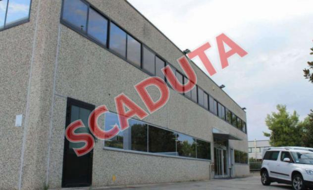 pentavano in vendita a Montegranaro in zona Villa Luciani