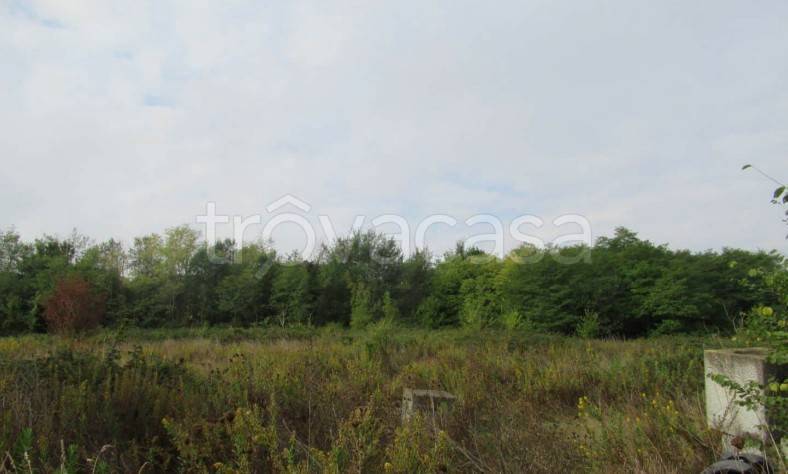 terreno agricolo in vendita a Montegranaro