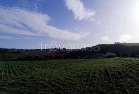 appartamento in vendita a Montegranaro in zona Guazzetti