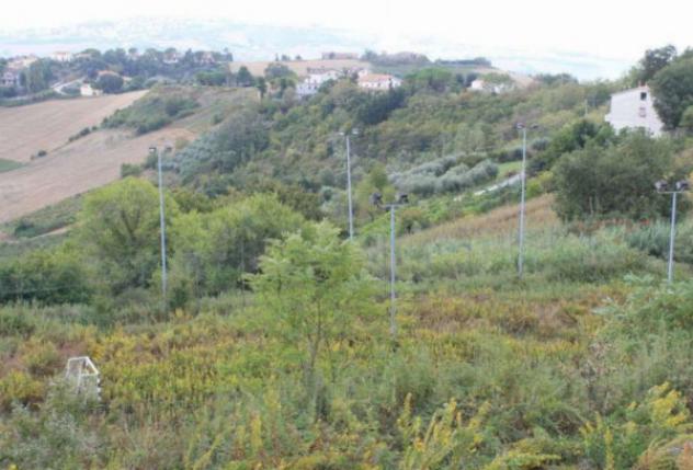 terreno agricolo in vendita a Montegranaro