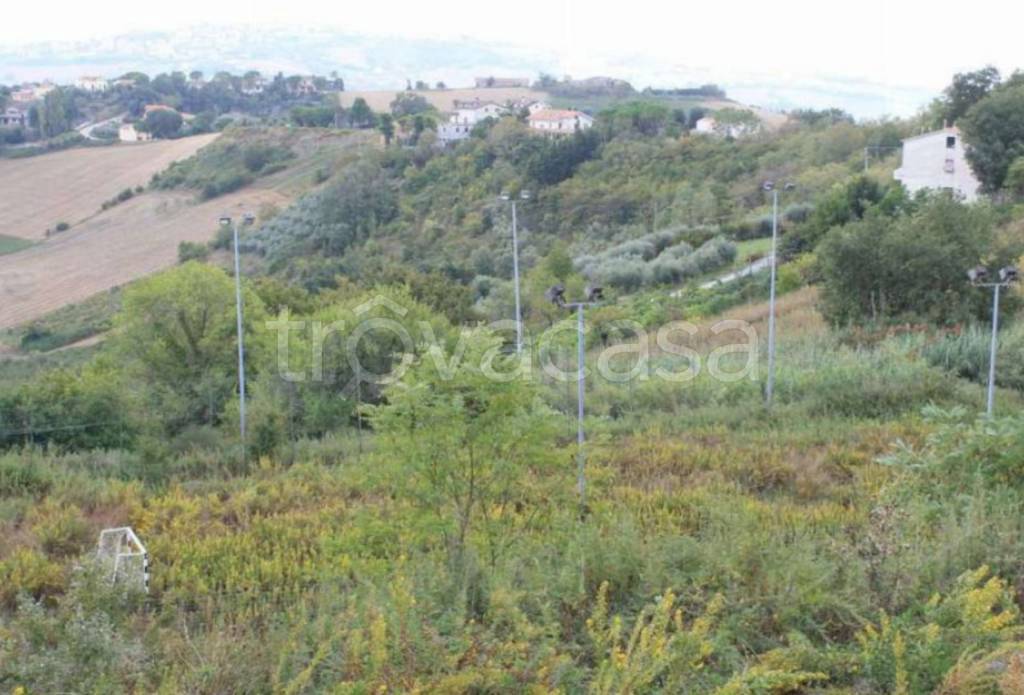terreno agricolo in vendita a Montegranaro