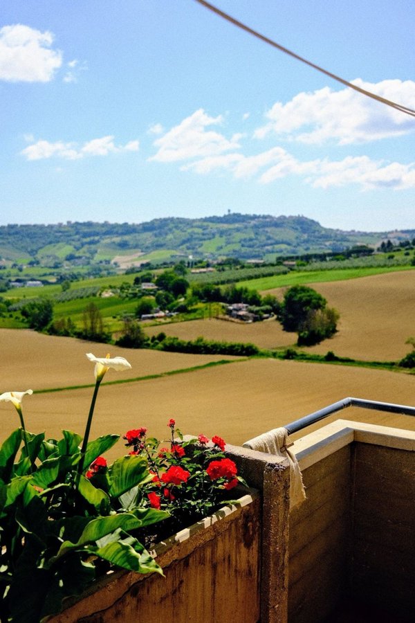 appartamento in vendita a Montegranaro
