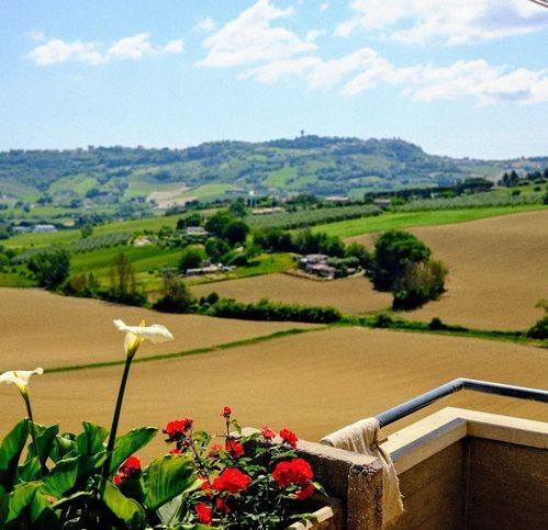 appartamento in vendita a Montegranaro