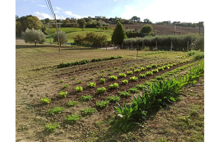 casa indipendente in vendita a Montegranaro