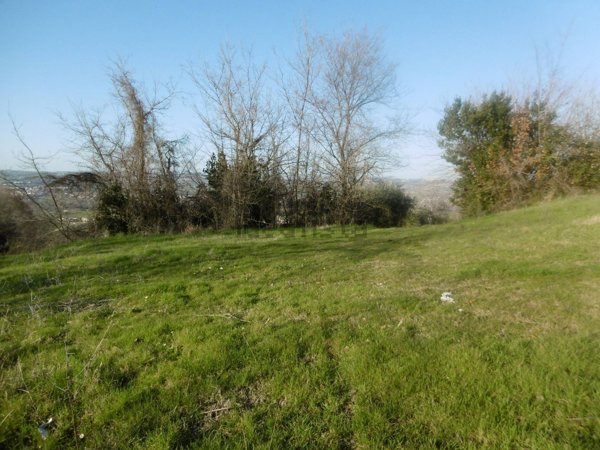 esavano in vendita a Montegranaro