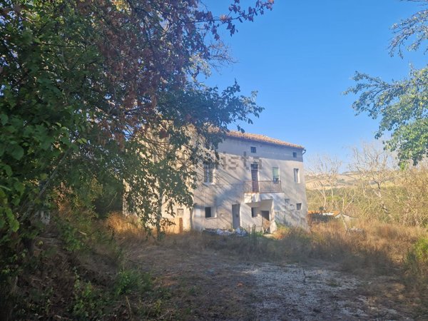 esavano in vendita a Montegranaro