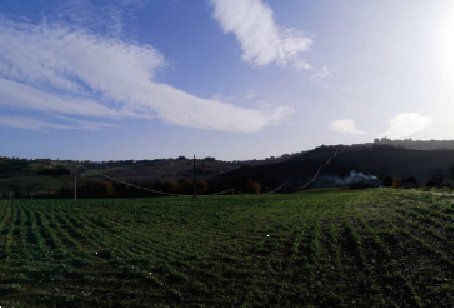 terreno agricolo in vendita a Montegranaro in zona Guazzetti
