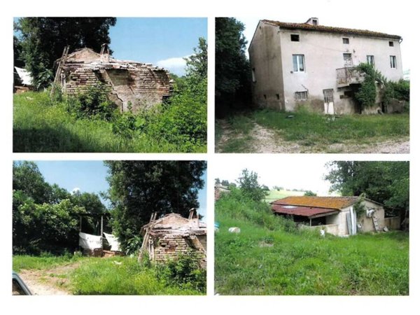 esavano in vendita a Montegranaro