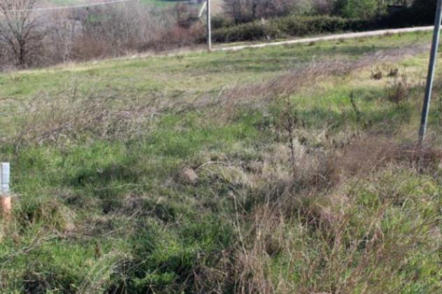 terreno edificabile in vendita a Montegranaro in zona Guazzetti