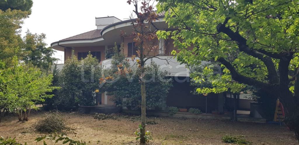 casa indipendente in vendita a Montegranaro
