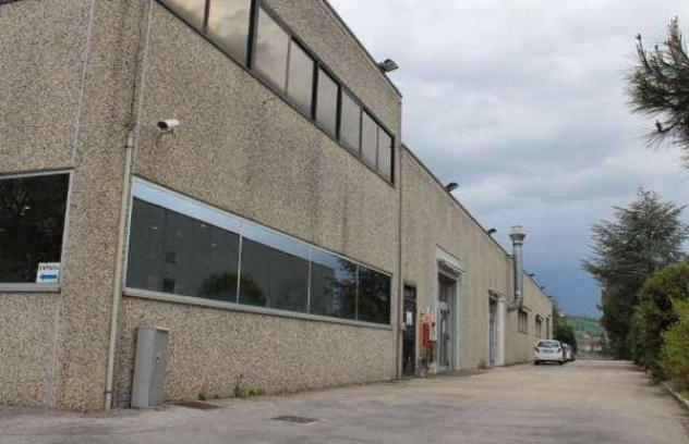 pentavano in vendita a Montegranaro in zona Villa Luciani