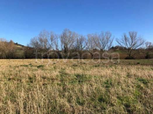 terreno edificabile in vendita a Montegranaro