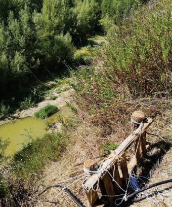 terreno agricolo in vendita a Montegranaro in zona Guazzetti