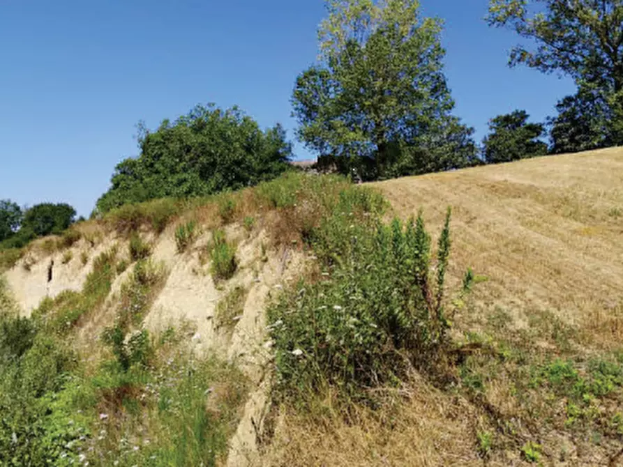 terreno agricolo in vendita a Montegranaro in zona Guazzetti