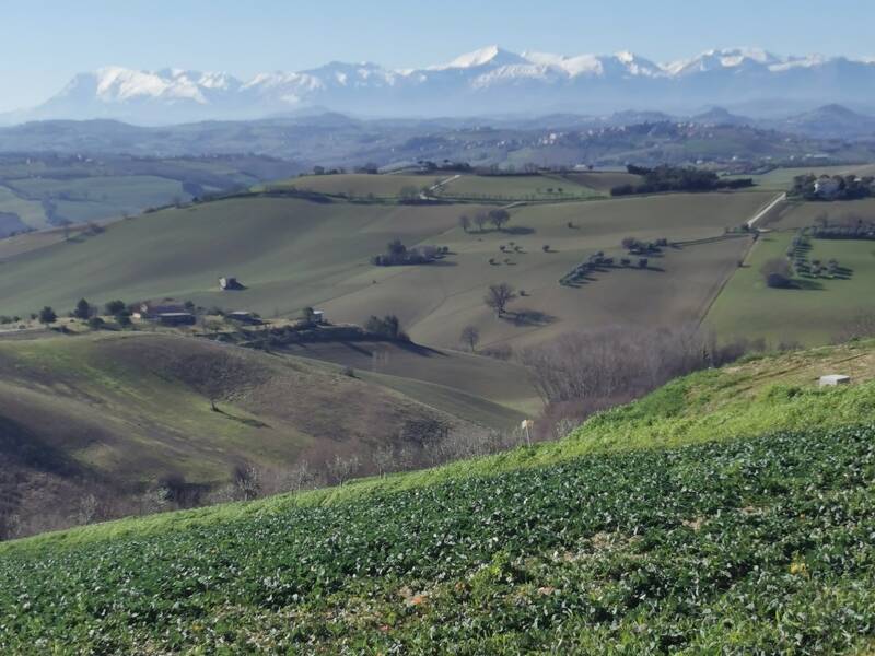 terreno edificabile in vendita a Montegranaro