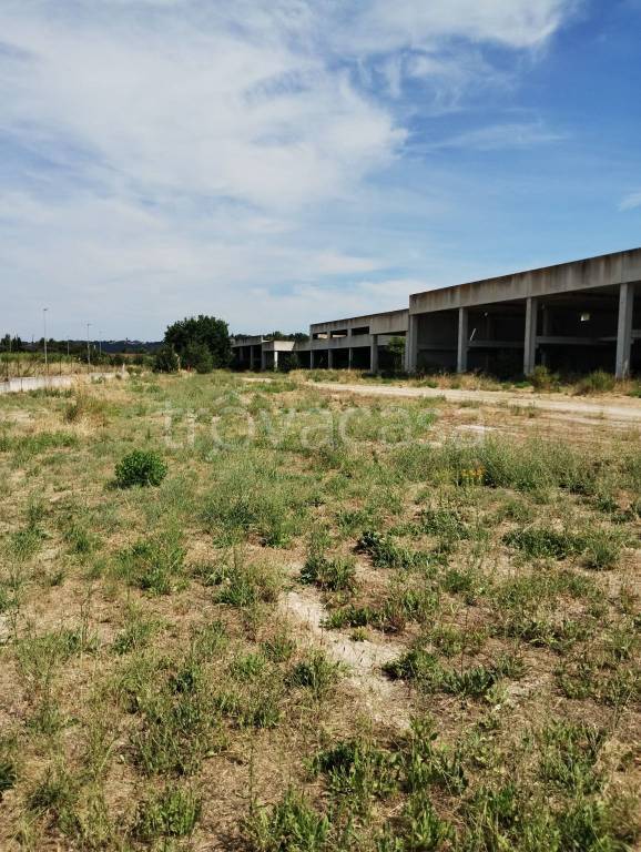 terreno edificabile in vendita a Montegranaro in zona Villa Luciani