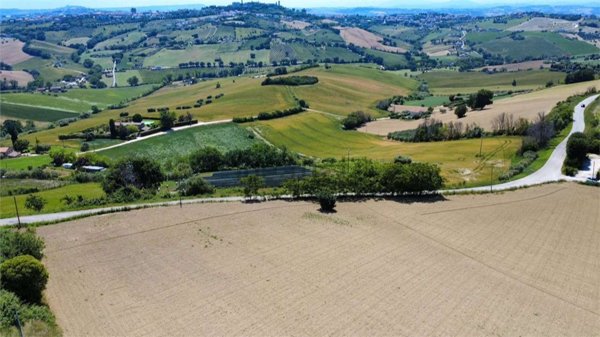 terreno agricolo in vendita a Montegranaro