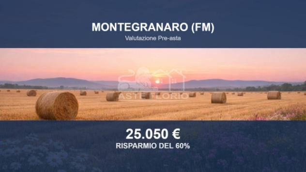 terreno agricolo in vendita a Montegranaro