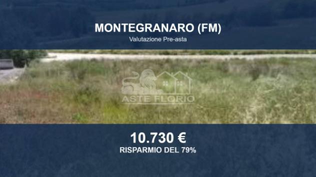 terreno agricolo in vendita a Montegranaro
