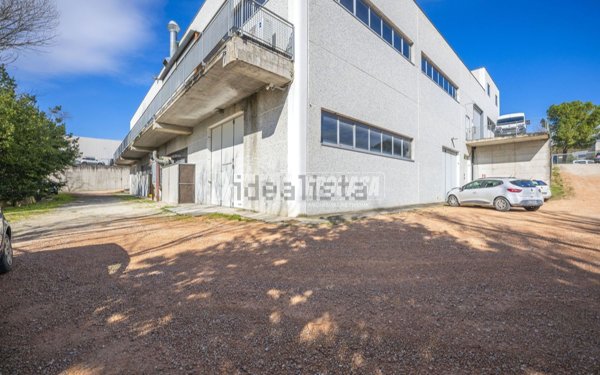 casa indipendente in vendita a Montegranaro in zona Villa Luciani