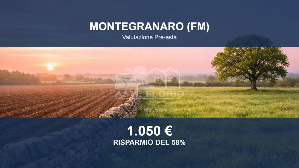 terreno agricolo in vendita a Montegranaro