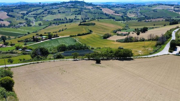 terreno agricolo in vendita a Montegranaro in zona San Tommaso