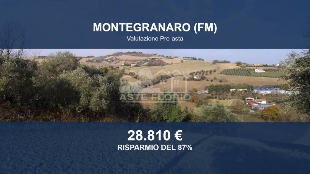 terreno agricolo in vendita a Montegranaro in zona Santa Leandra