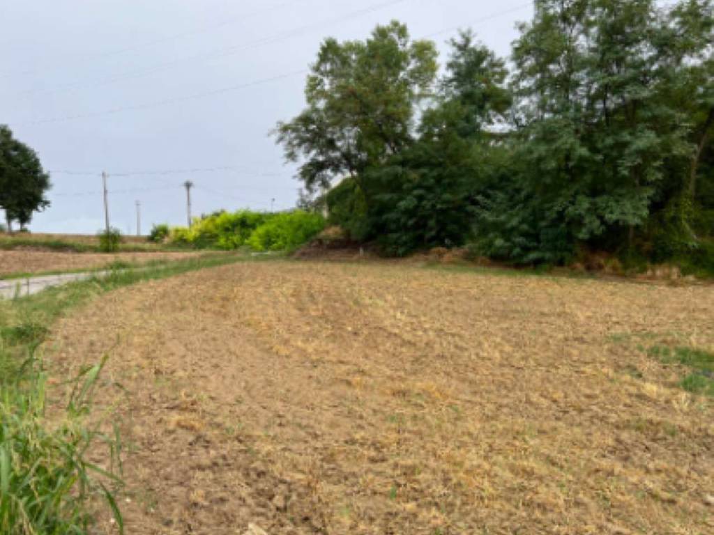 terreno agricolo in vendita a Monteleone di Fermo