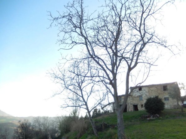 casa indipendente in vendita a Montelparo