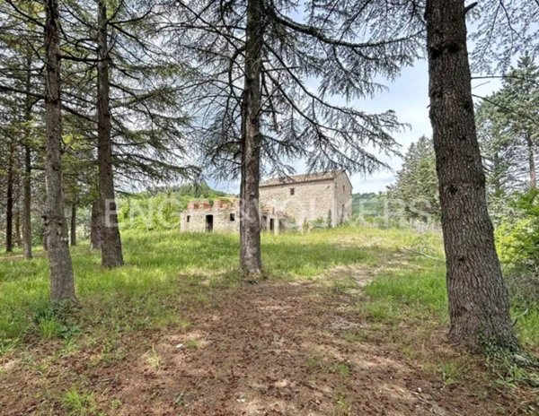 casa indipendente in vendita a Montelparo