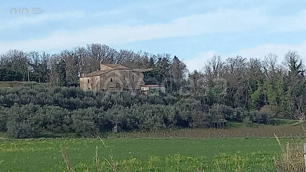 casa indipendente in vendita a Montelparo