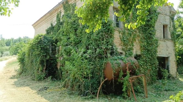 casa indipendente in vendita a Montelparo