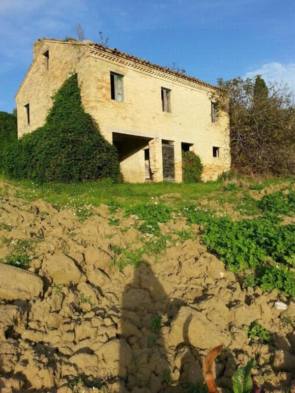 casa indipendente in vendita a Montelparo