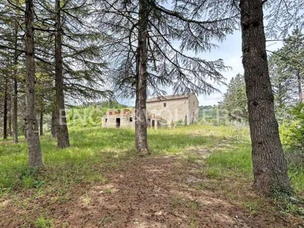terreno agricolo in vendita a Montelparo