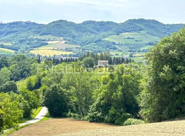 terreno agricolo in vendita a Montelparo