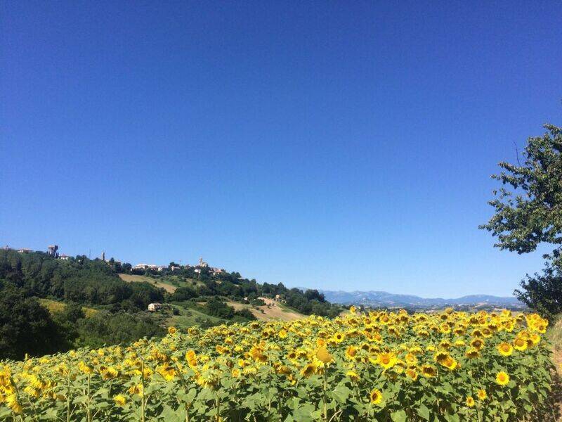 casa indipendente in vendita a Montelparo