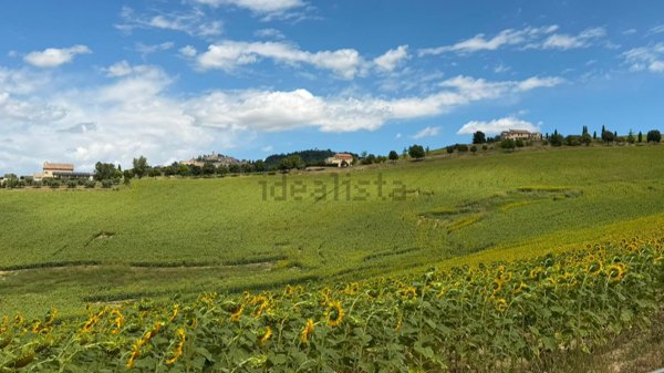 casa indipendente in vendita a Montelparo