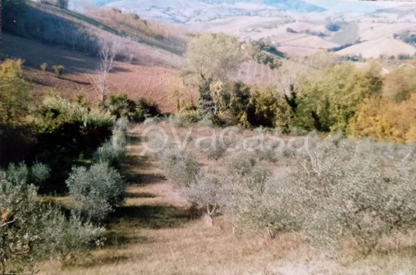 rudere in vendita a Montelparo