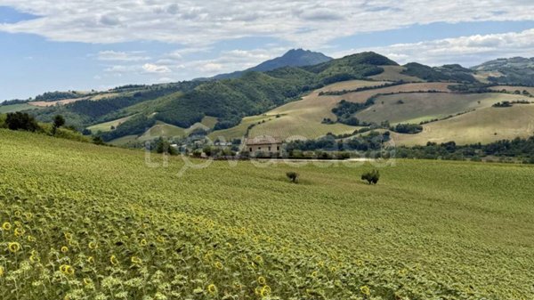 casa indipendente in vendita a Montelparo